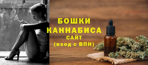 PSILOCYBIN Няндома