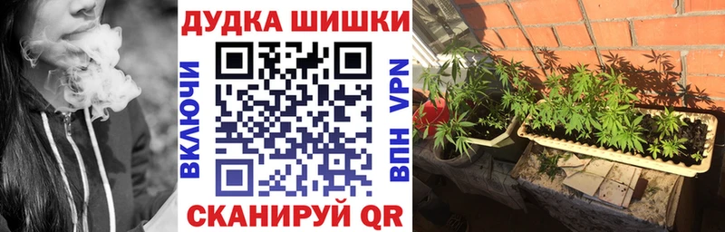 Шишки марихуана план  Мензелинск 